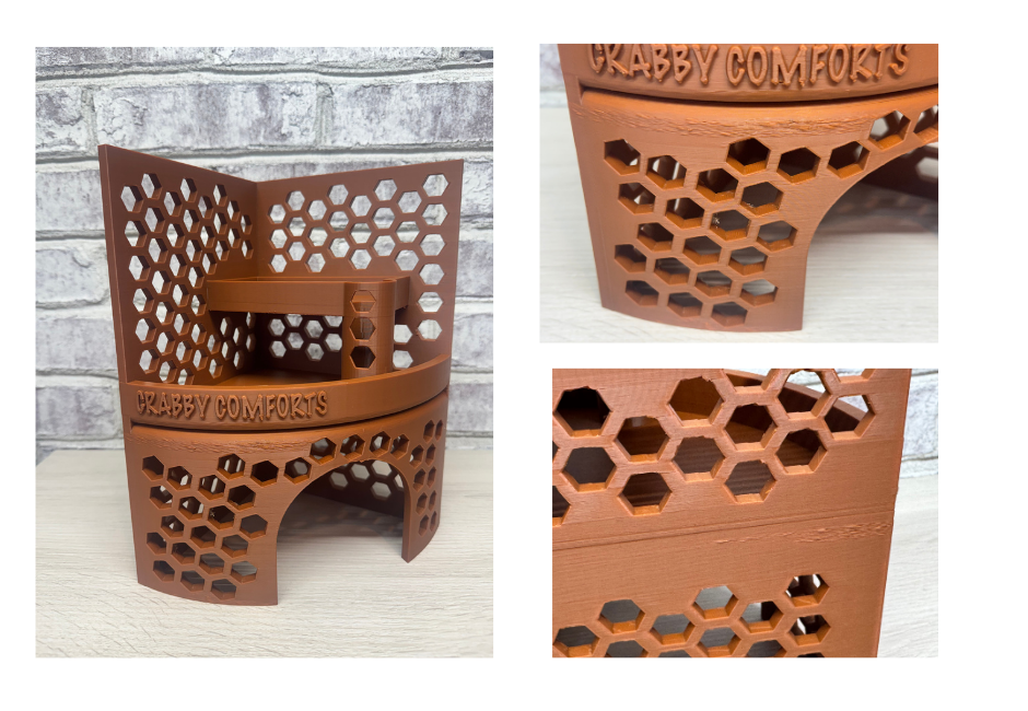 Misprints & Overstocks-- Hermit Crab Playground with Hide - Shell Shop