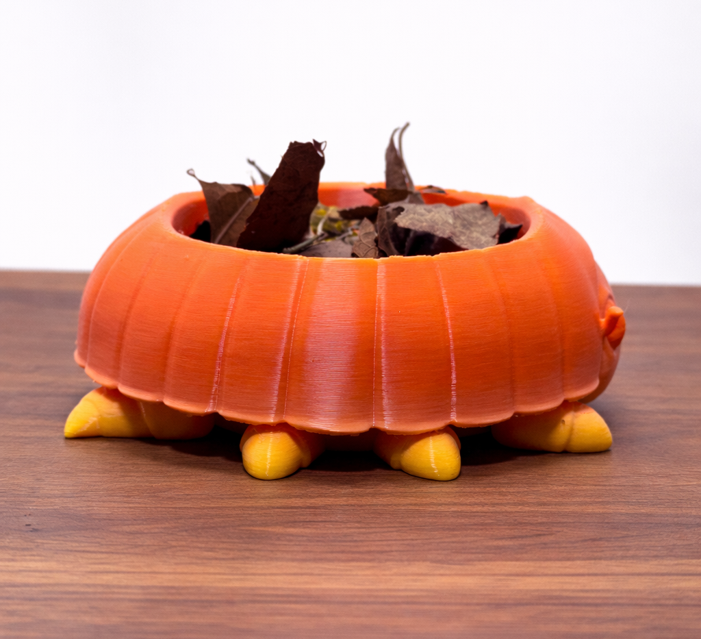 Isopod Food Dish | 3D Printed PLA Bowl for Hermit Crabs | Foraging Dish, Staple Bowl, Cleanup Crew Inspired Tank Decor
