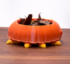 Isopod Food Dish | 3D Printed PLA Bowl for Hermit Crabs | Foraging Dish, Staple Bowl, Cleanup Crew Inspired Tank Decor