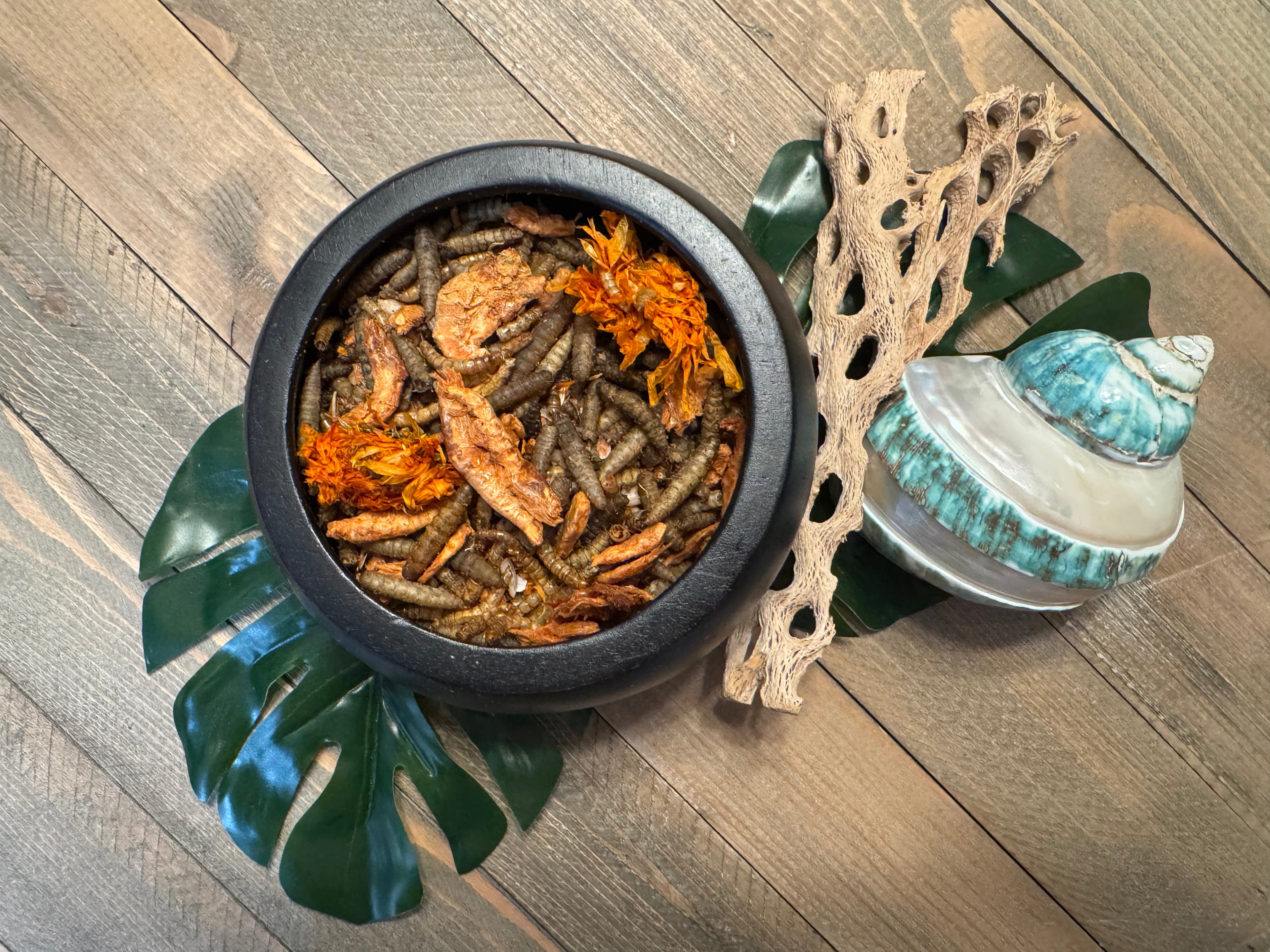 Buggy Blossom Blend | Krill BSL Mealworms Sunflower Seeds Crushed Shell and Marigold Petals
