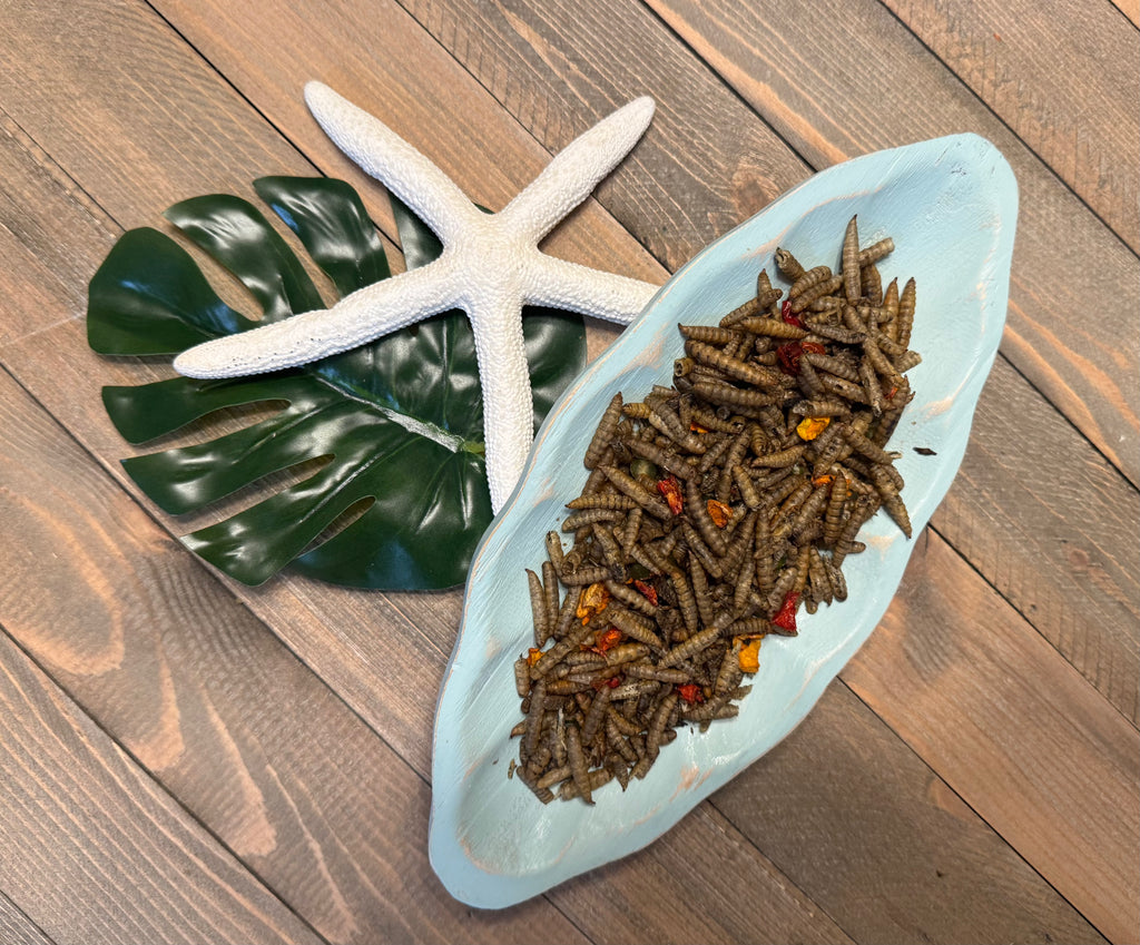 Buggy Harvest Bowl | Hermit Crab Food Mix | Protein + Veggie Foraging Blend