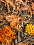 Buggy Blossom Blend | Krill BSL Mealworms Sunflower Seeds Crushed Shell and Marigold Petals