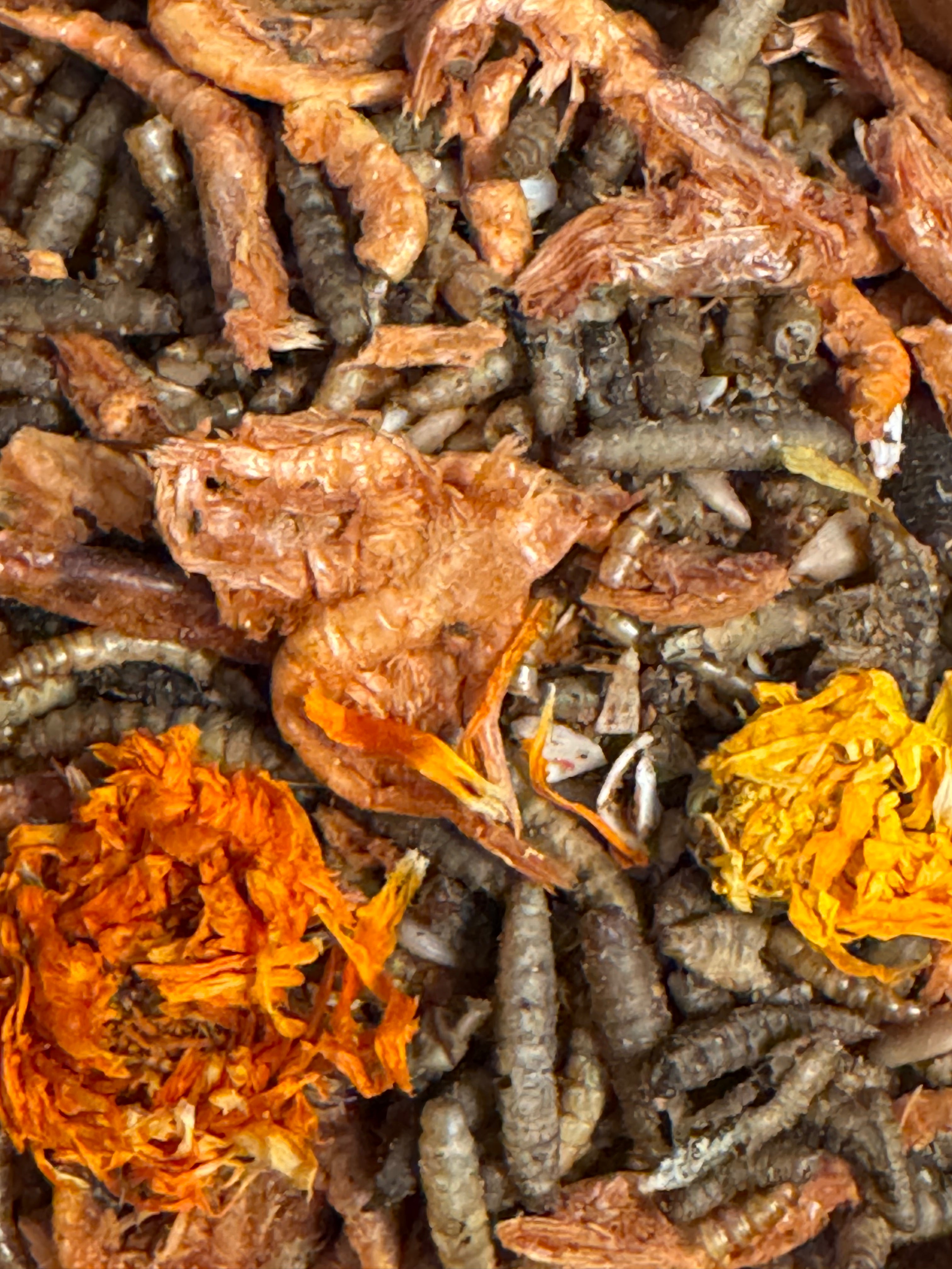 Buggy Blossom Blend | Krill BSL Mealworms Sunflower Seeds Crushed Shell and Marigold Petals