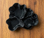 Forage & Feast Lagoon Dish | 3d Printed