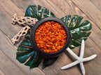 Crunchy Carrot Bites - Dehydrated Carrots for Hermit Crabs