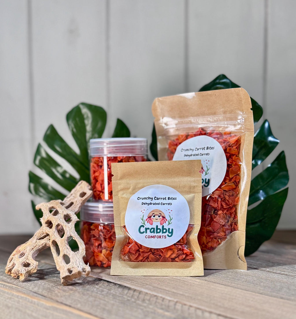 Crunchy Carrot Bites - Dehydrated Carrots for Hermit Crabs