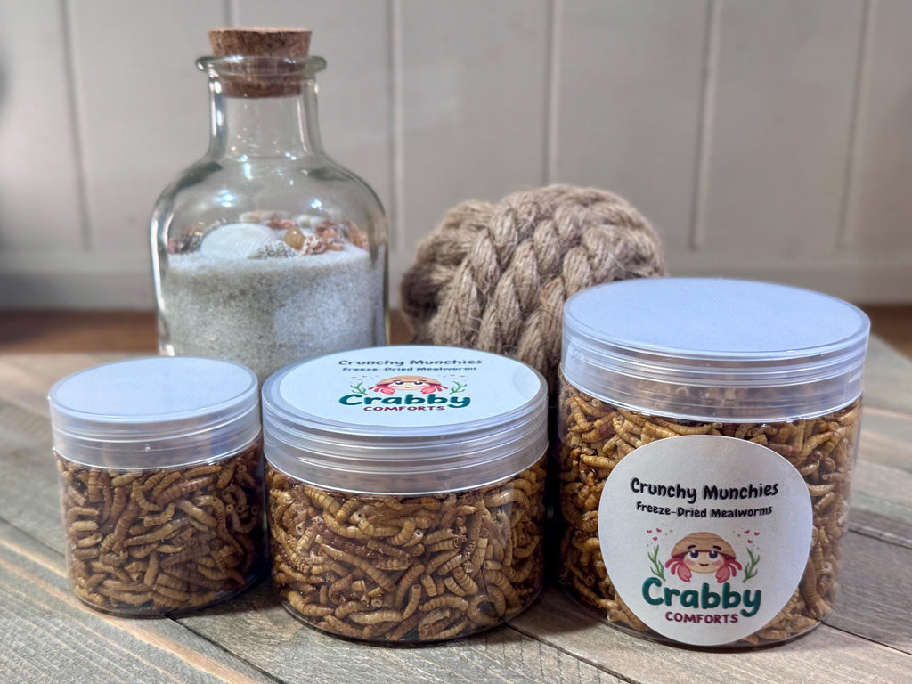 Crunchy Munchies  Freeze-Dried Mealworms for Hermit Crabs