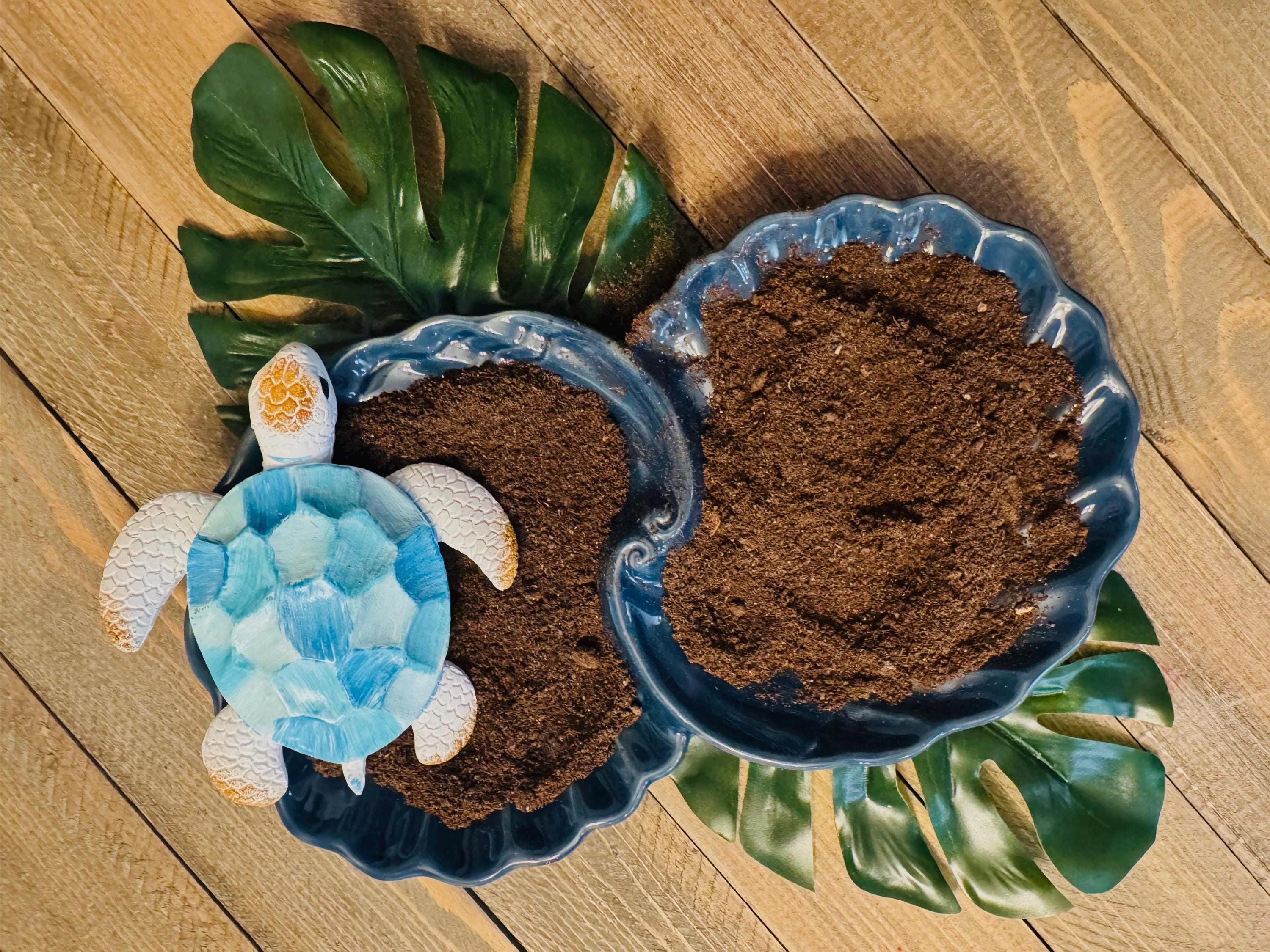 Guano Gold  Bat Guano for Hermit Crabs
