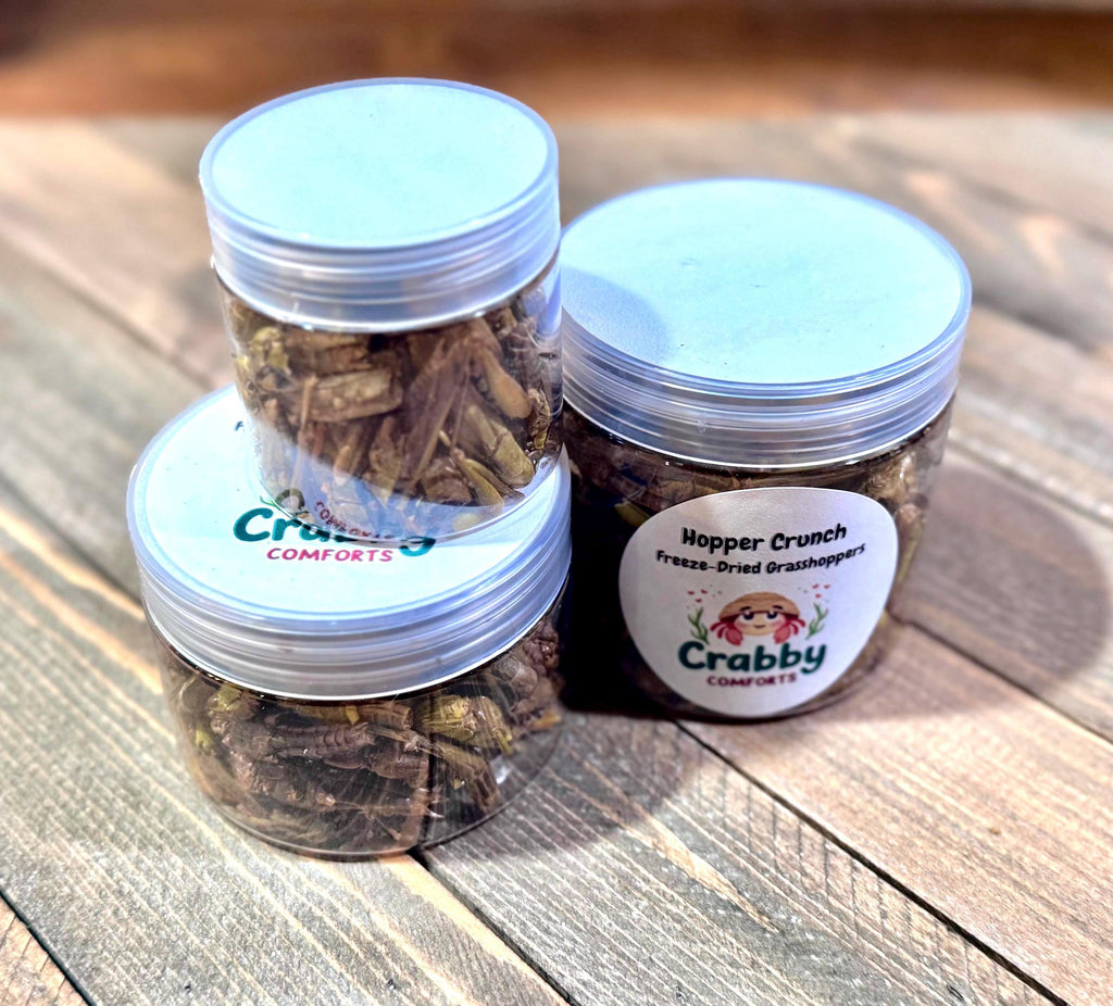 Hopper Crunch  Freeze-Dried Grasshoppers for Hermit Crabs