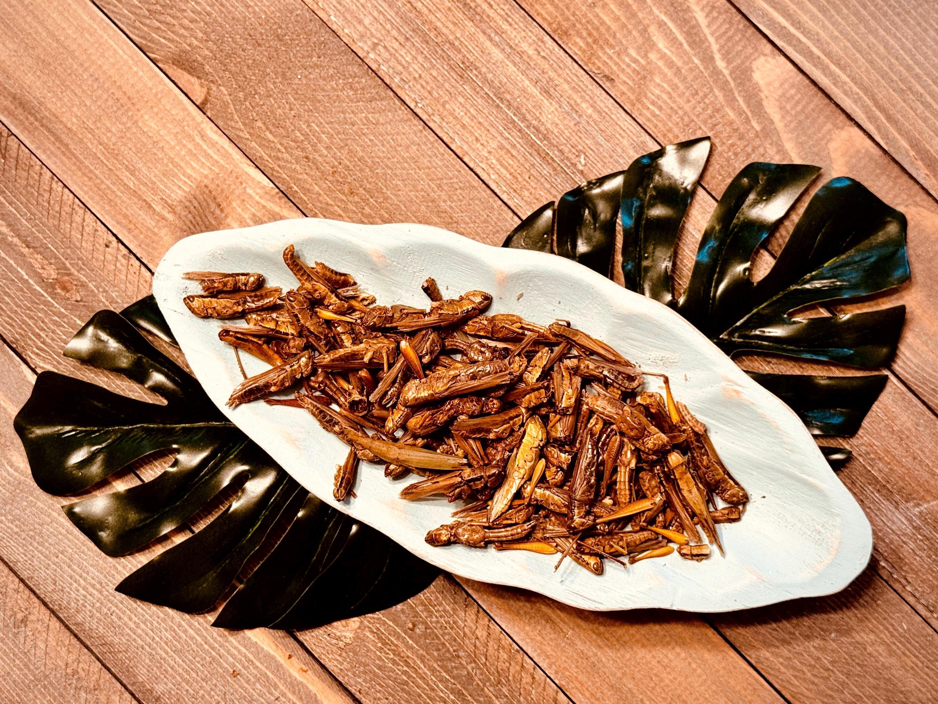 Hopper Crunch  Freeze-Dried Grasshoppers for Hermit Crabs