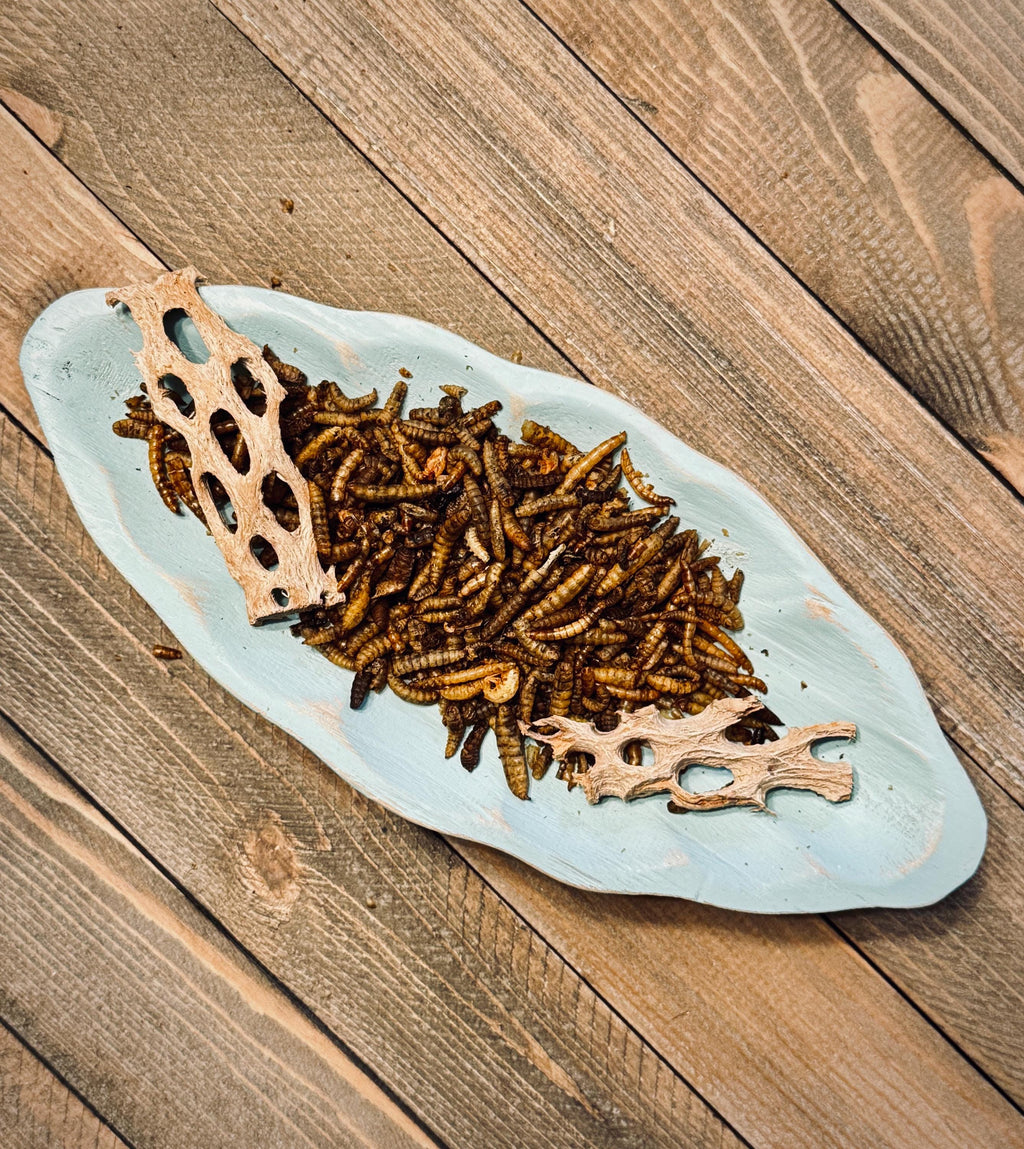 Power Protein Mix  Soldier Fly Larvae, Mealworms & Shrimp for Hermit Crabs