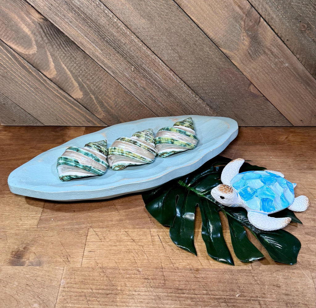 Polished Banded Jade Turbo Shells - Single Shell