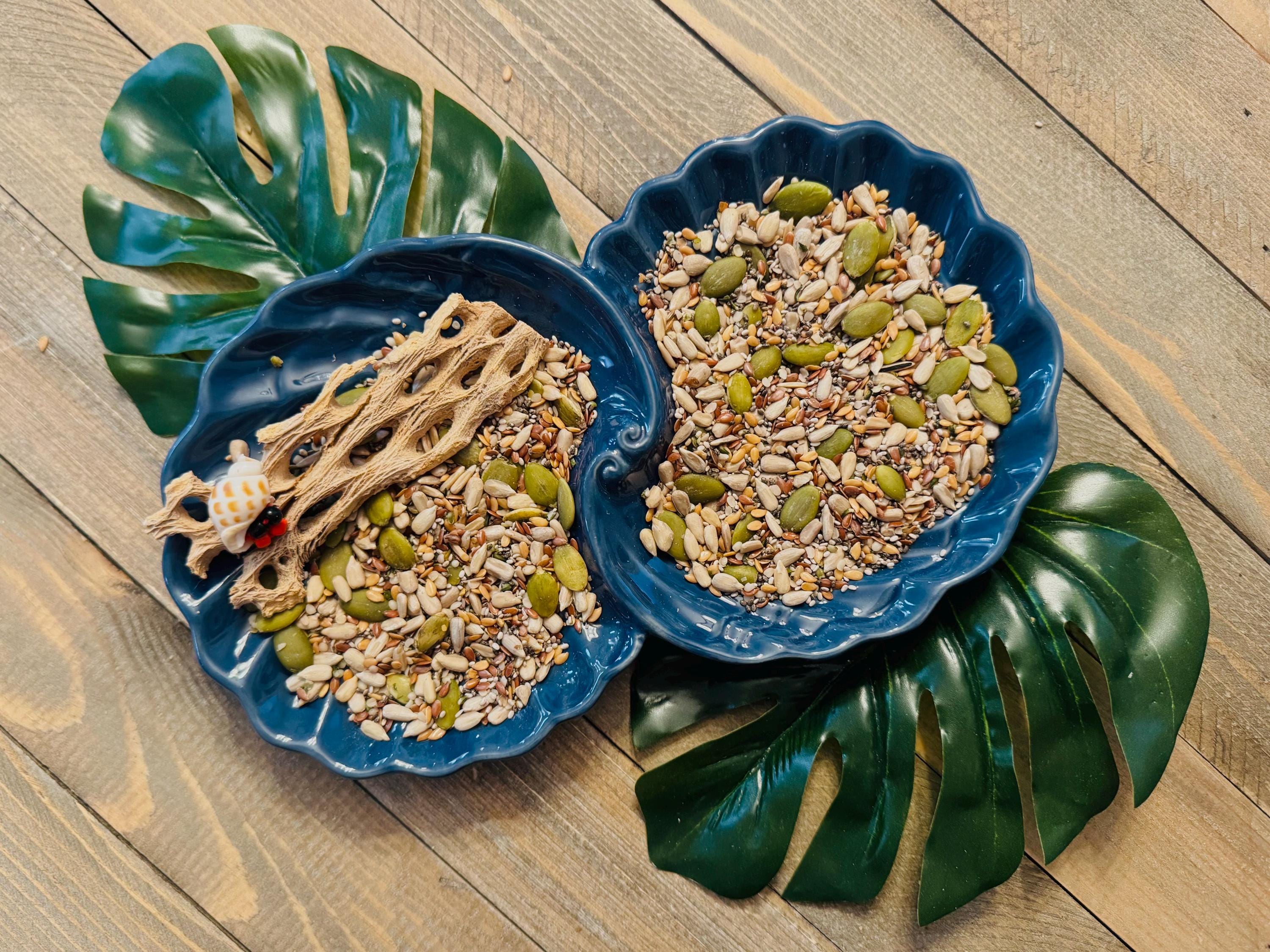 Hermit Crab Seed Mix  Nutrient-Rich, Omega-3 Blend