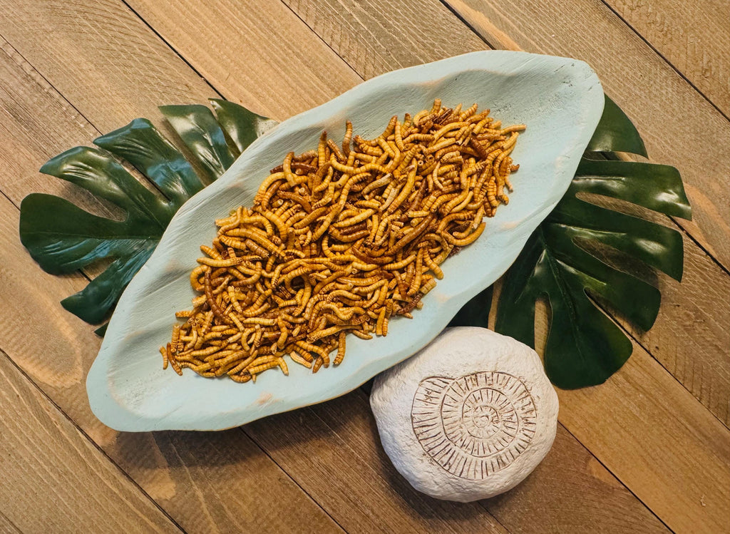 Crunchy Munchies  Freeze-Dried Mealworms for Hermit Crabs