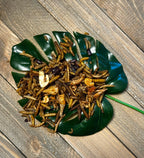 Fab Four Protein Mix  Soldier Fly Larvae, Mealworms, Shrimp & Beetles