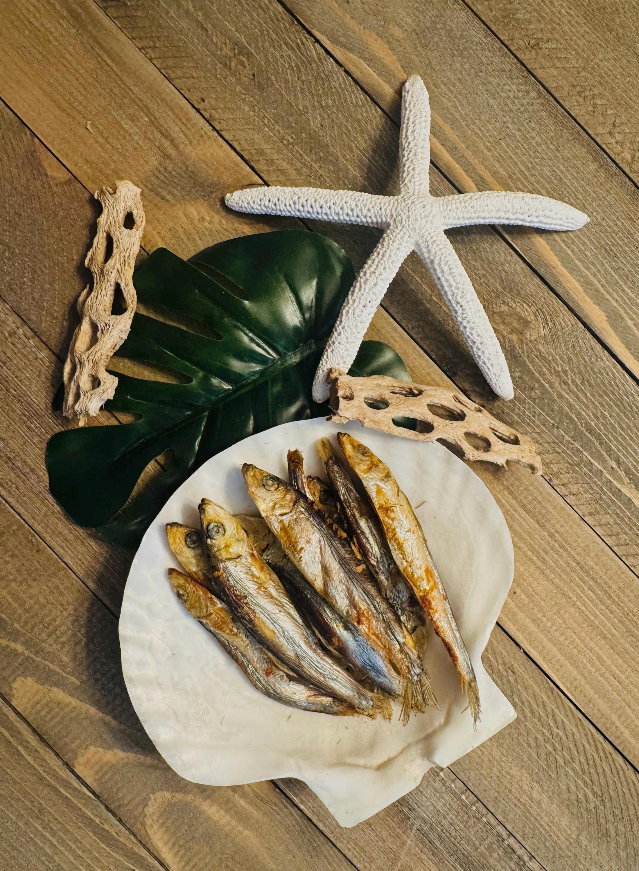 Arctic Feast  Alaska Herring infused with Turmeric for Hermit Crabs
