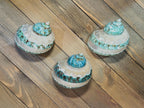 Polished Banded Jade Turbo Shells - Single Shell