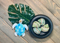 Polished Green Turbo Banded Shells (Set of 3)