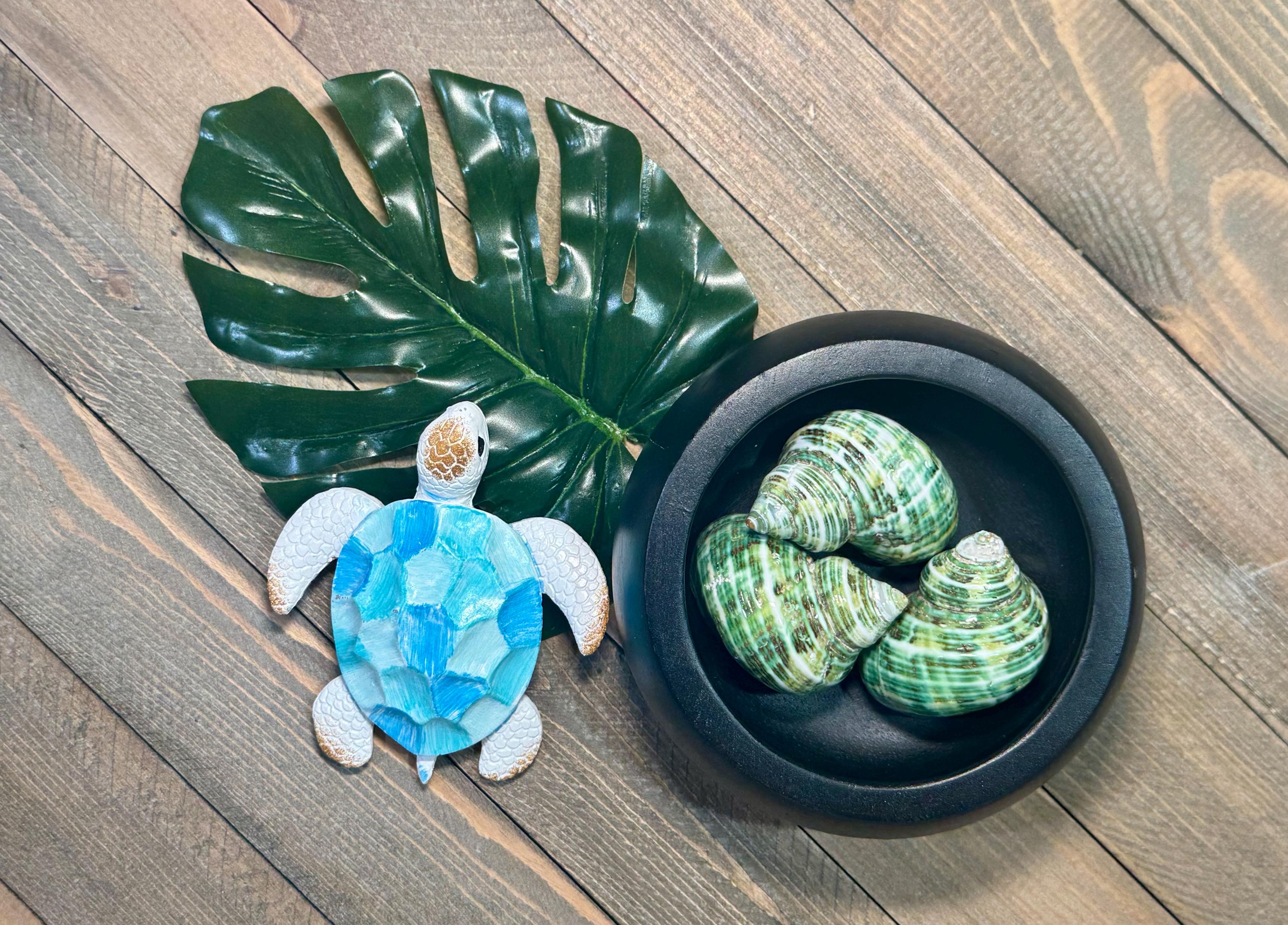 Polished Green Turbo Shells (Set of 3)