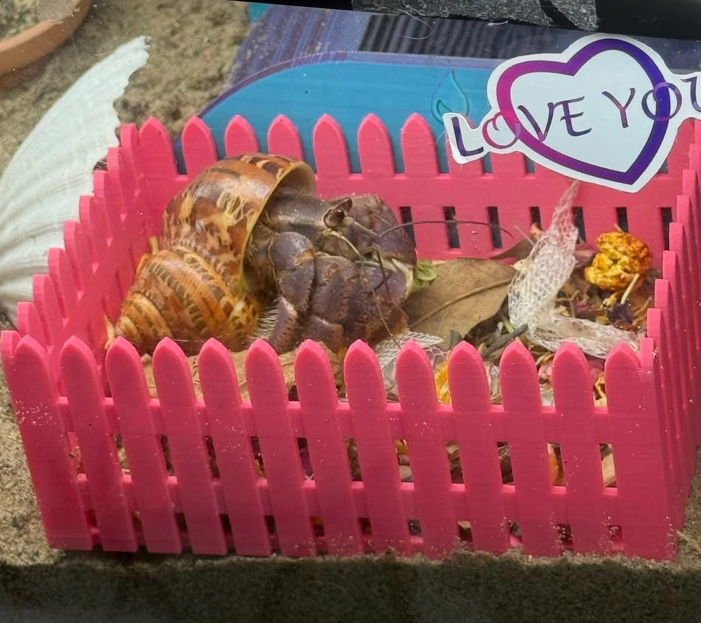 3D-Printed Picket Fence Moss Pit  Hermit Crab Shell Shop & Foraging Tray, PLA Tank Decor