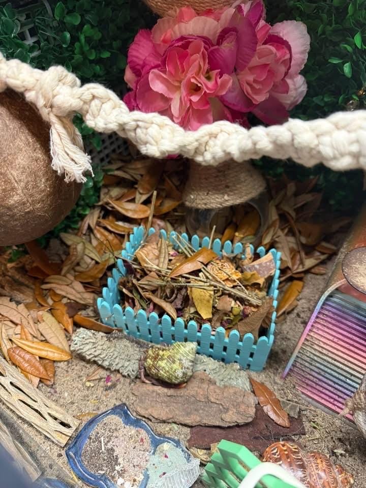 3D-Printed Picket Fence Moss Pit  Hermit Crab Shell Shop & Foraging Tray, PLA Tank Decor