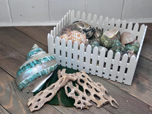 3D-Printed Picket Fence Moss Pit  Hermit Crab Shell Shop & Foraging Tray, PLA Tank Decor