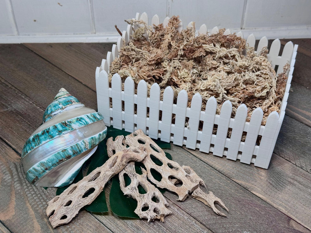 3D-Printed Picket Fence Moss Pit  Hermit Crab Shell Shop & Foraging Tray, PLA Tank Decor