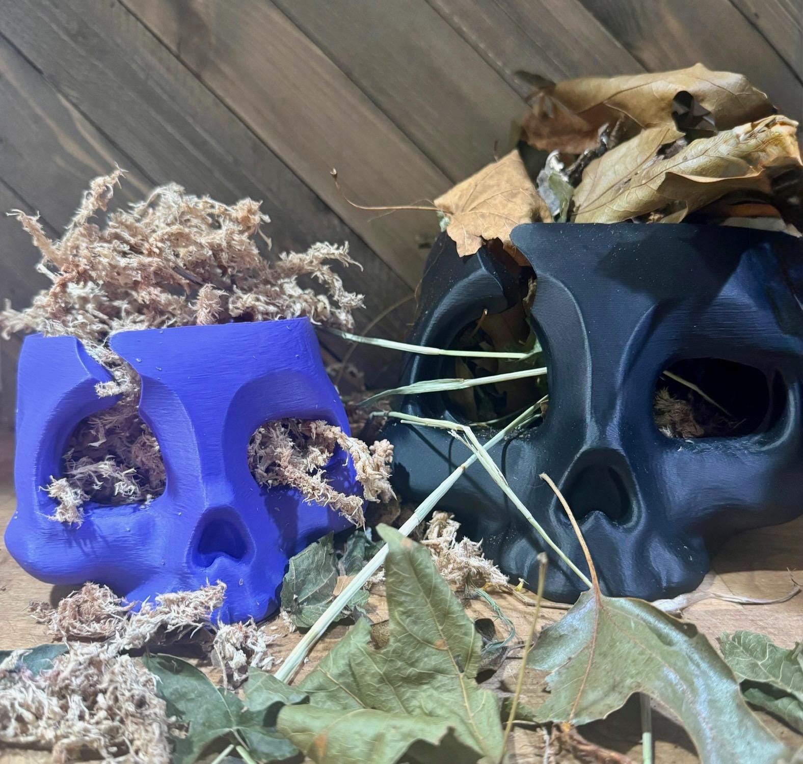 Hermit Crab Skull Hide  Foraging Bowl & Moss Pit | 3D Printed Habitat Decor