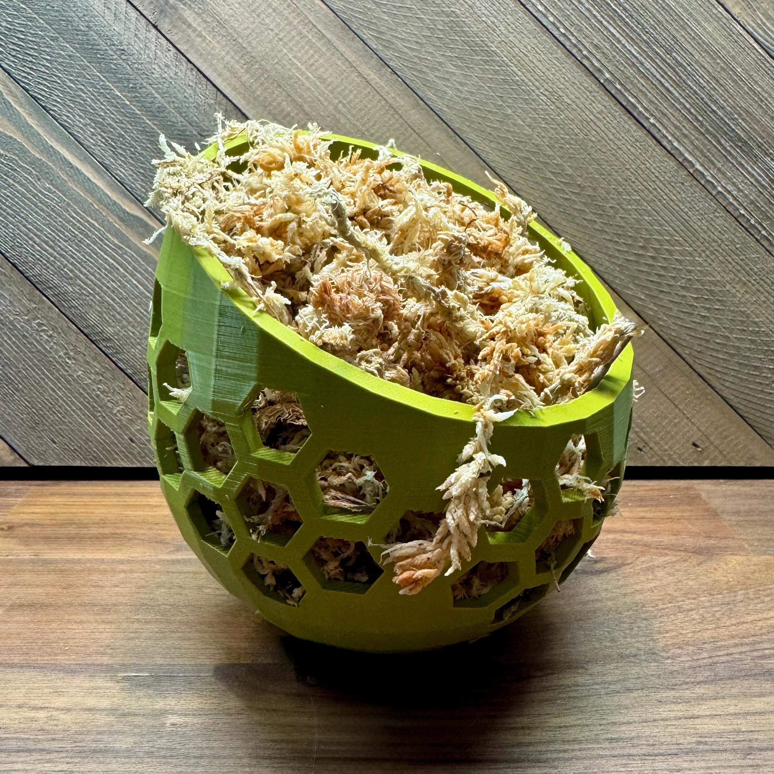 Mossy Hideaway -- 3D Printed Moss Pit - New Design and More Sizes!
