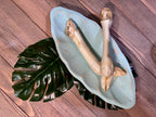 Crabby Lamb  Dehydrated Lamb Foot - Protein-Packed Treat for Hermit Crabs