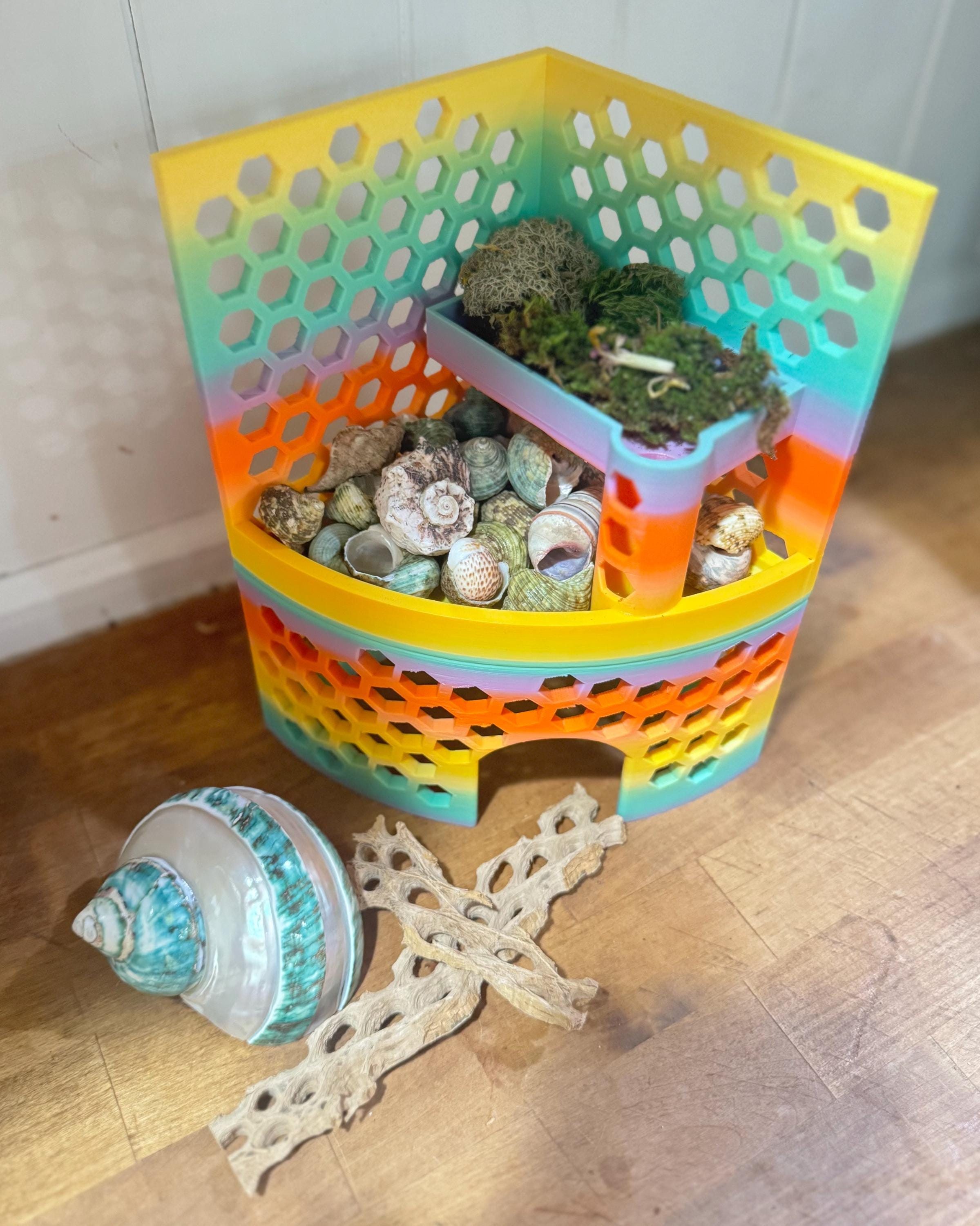 Hermit Crab Playground with Hide - Shell Shop -- Idea for XS to Medium hermit crabs