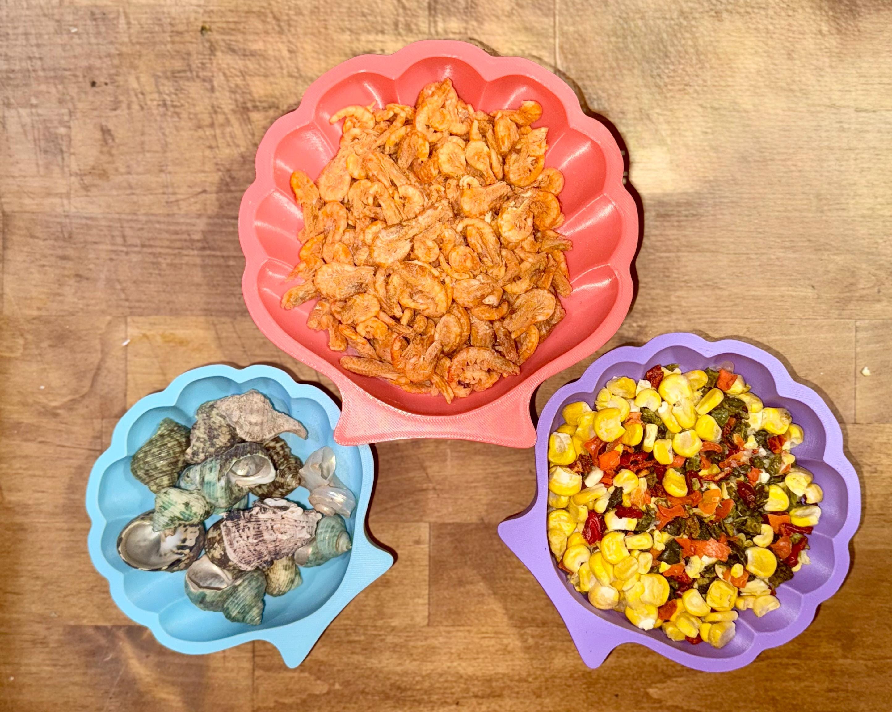 3D Printed Shell-Shaped Hermit Crab Dish: Colorful Tank Decor