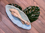 Crabby Lamb  Dehydrated Lamb Foot - Protein-Packed Treat for Hermit Crabs