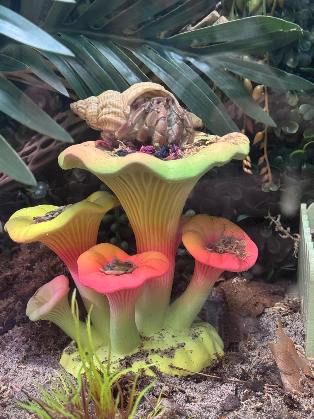 Hermit Crab Mushroom Toy & Foraging Dish | 3D Printed PLA Habitat Decor