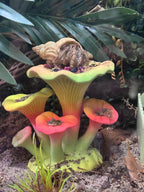 Hermit Crab Mushroom Toy & Foraging Dish | 3D Printed PLA Habitat Decor