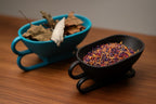 Foraging & Shell Shop Sleigh Dish