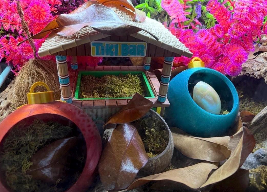 3D Printed Christmas Ornament Hermit Crab Hideout