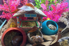Tiki Bar Hermit Crab Foraging Station: Tropical Beach Hideout