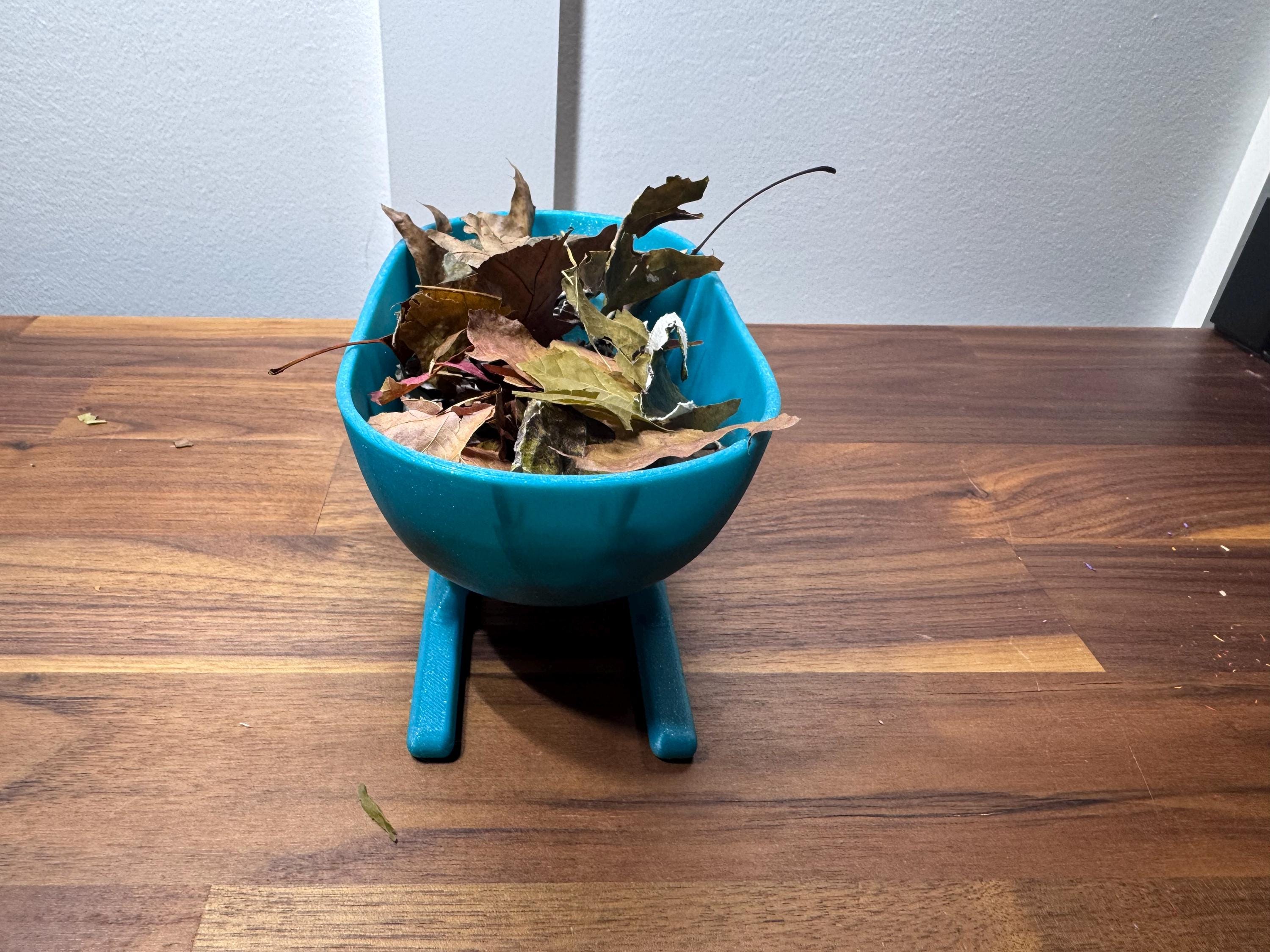Foraging & Shell Shop Sleigh Dish