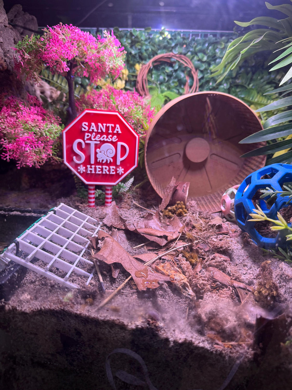 Santa Please STOP Here - Hermit Crab Holiday Sign  3D Printed PLA | 2 sizes available