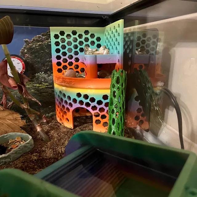 Hermit Crab Playground with Hide - Shell Shop -- Idea for XS to Medium hermit crabs