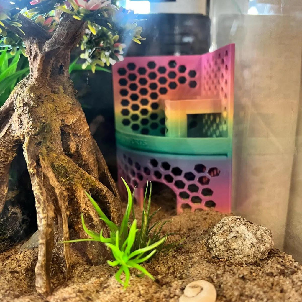 Hermit Crab Playground with Hide - Shell Shop -- Idea for XS to Medium hermit crabs