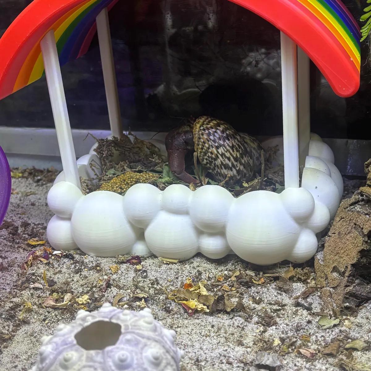 Rainbow Foraging Dish for Hermit Crabs | 3D Printed Crabitat Accessory