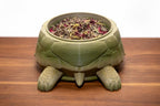 Turtle Foraging Food Dish | Hermit Crab, Reptile & Invertebrate Enrichment Bowl