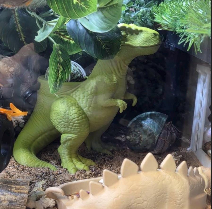 Dinosaur Foraging Dish and Chia Seed Garden | T-Rex  Stegosaurus  Triceratops | 3D Printed PLA | Worm Castings & Chia Seeds Included