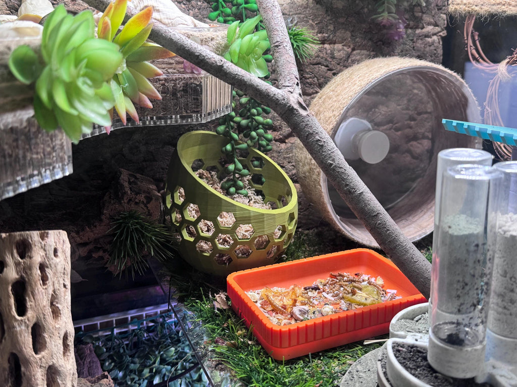 Mossy Hideaway -- 3D Printed Moss Pit - New Design and More Sizes!