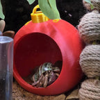 3D Printed Christmas Ornament Hermit Crab Hideout