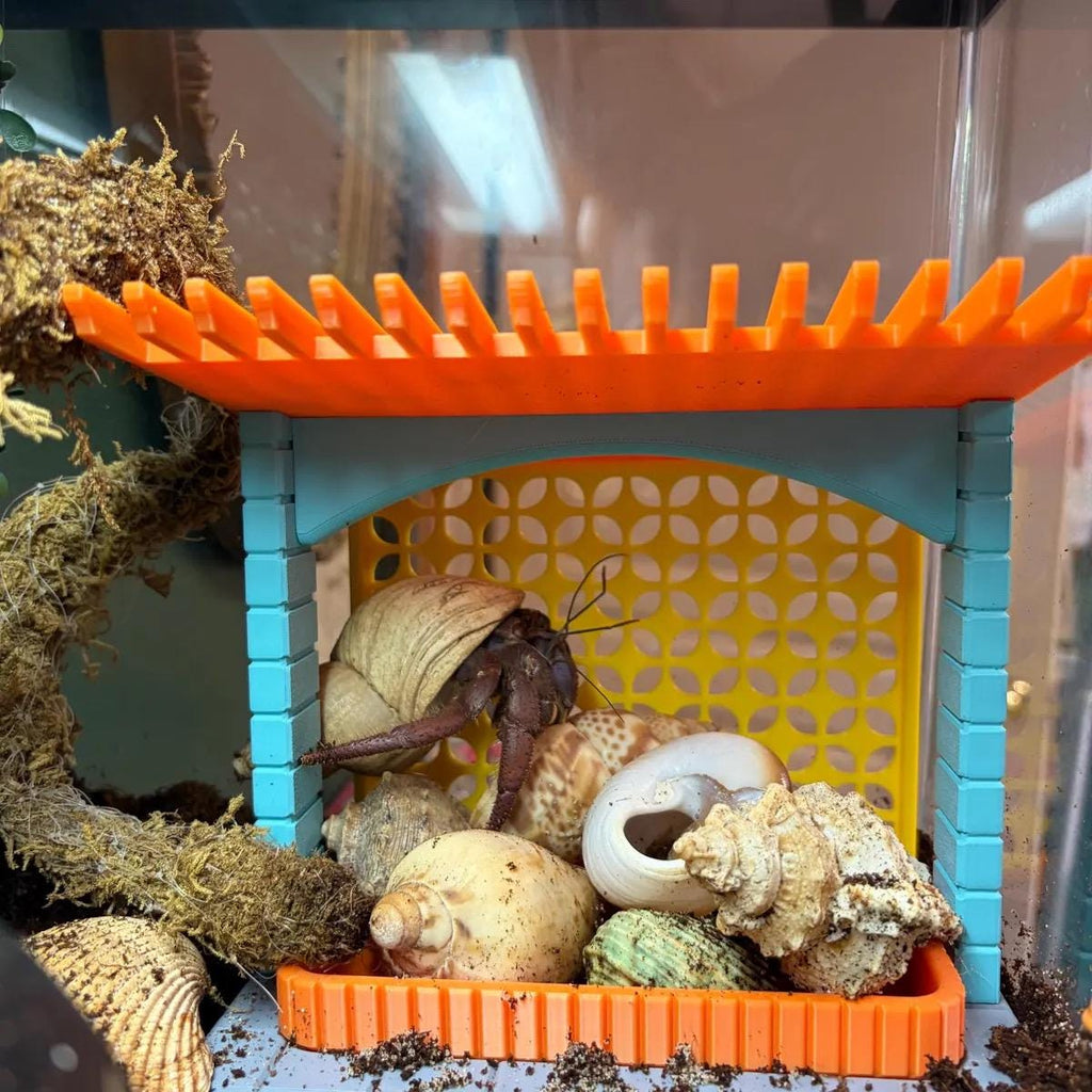 3D Printed Mid-Century Hermit Crab Porch  Cottage Charm Foraging Dish