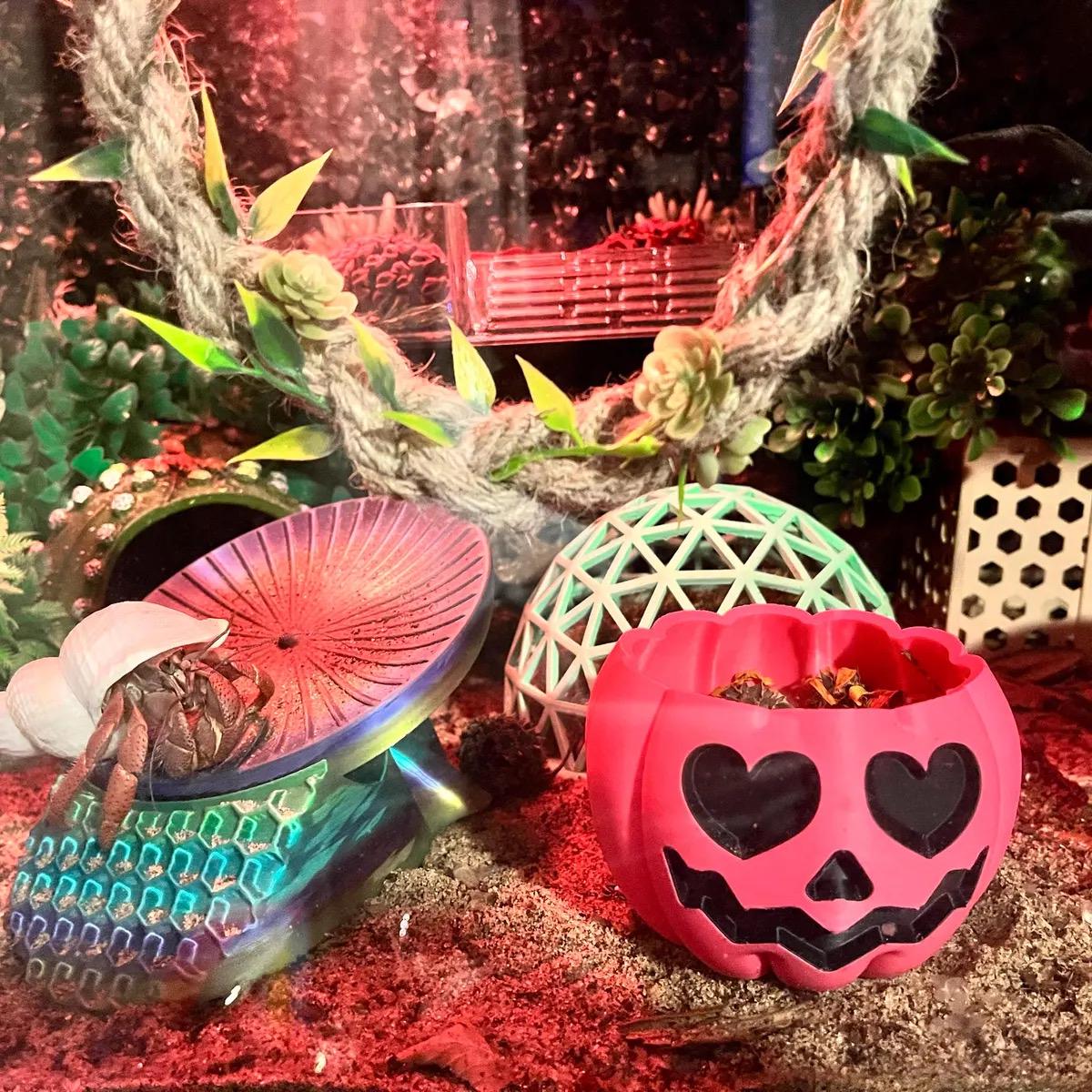 3D Printed Pumpkin Hermit Crab Foraging Dish | Fall Halloween Crabitat Decor