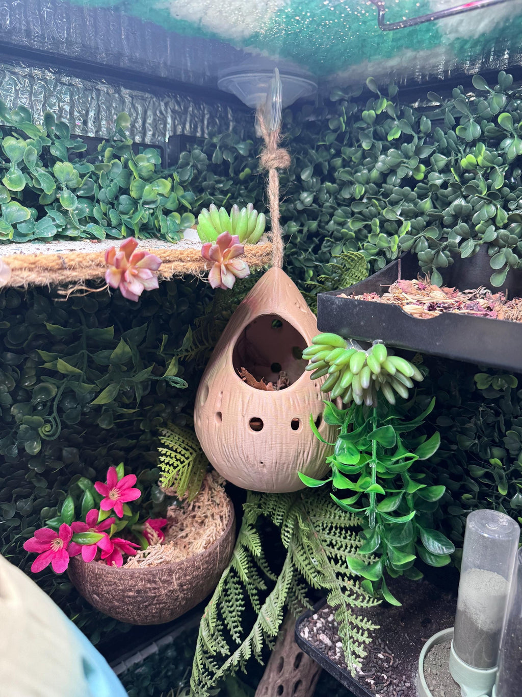 Hanging Hermit Crab Hideout Pod | Natural Terrarium Decor